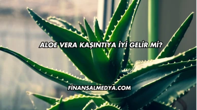 Aloe Vera Kaşıntıya İyi Gelir mi?