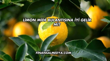 Limon Mide Bulantısına İyi Gelir mi?