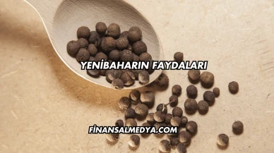 Yenibaharın Faydaları