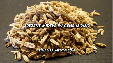 Rezene Mideye İyi Gelir mi?