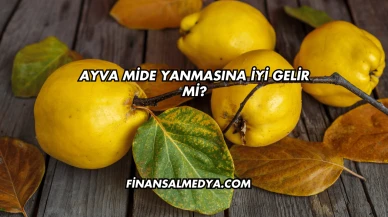 Ayva Mide Yanmasına İyi Gelir mi?