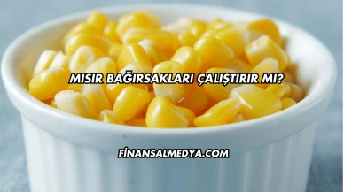 Mısır Bağırsakları Çalıştırır mı?