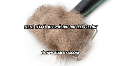 Kedi Tüyü Alerjisine Ne İyi Gelir?