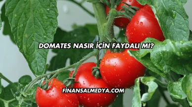 Domates Nasır İçin Faydalı mı?