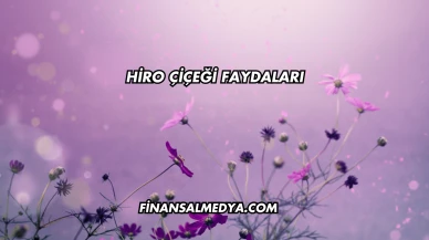 Hiro Çiçeği Faydaları