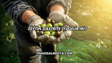 Zeytin Gastrite İyi Gelir mi?