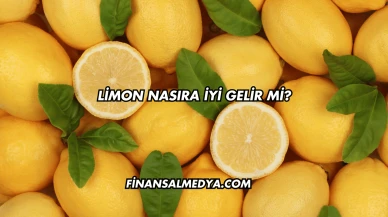 Limon Nasıra İyi Gelir mi?