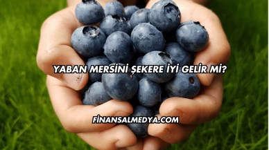 Yaban Mersini Şekere İyi Gelir mi?