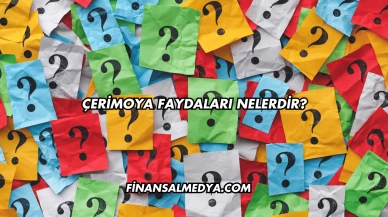 Çerimoya Faydaları Nelerdir?