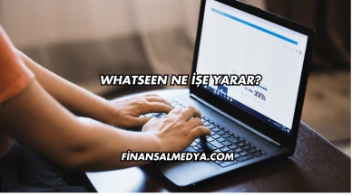 Whatseen Ne İşe Yarar?