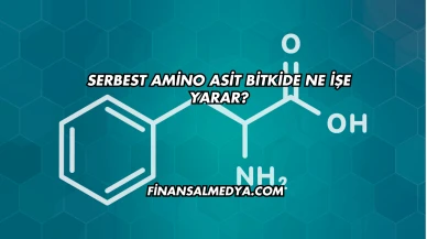 Serbest Amino Asit Bitkide Ne İşe Yarar?