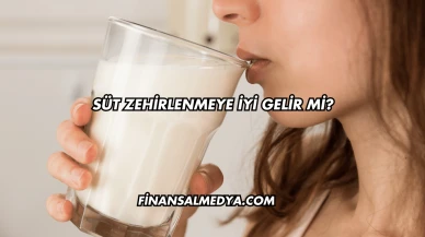 Süt Zehirlenmeye İyi Gelir mi?