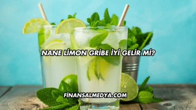 Nane Limon Gribe İyi Gelir mi?