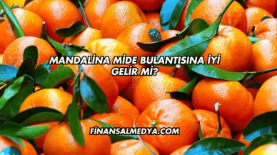 Mandalina Mide Bulantısına İyi Gelir mi?