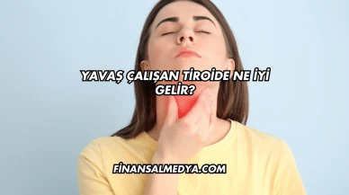 Yavaş Çalışan Tiroide Ne İyi Gelir?