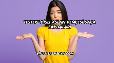 Testere Dişli Aslan Pençesi Saça Faydaları