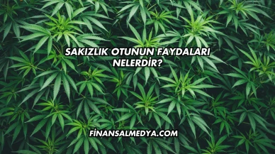 Sakızlık Otunun Faydaları Nelerdir?