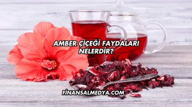 Amber Çiçeği Faydaları Nelerdir?
