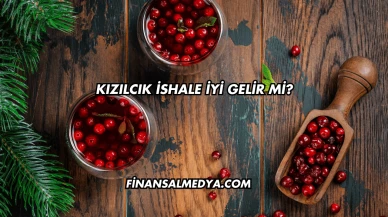 Kızılcık İshale İyi Gelir mi?