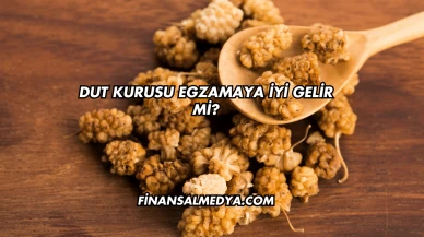 Dut Kurusu Egzamaya İyi Gelir mi?
