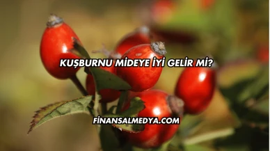 Kuşburnu Mideye İyi Gelir mi?