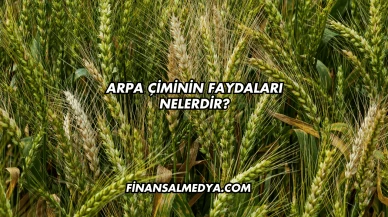 Arpa Çiminin Faydaları Nelerdir?