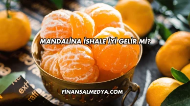 Mandalina İshale İyi Gelir mi?