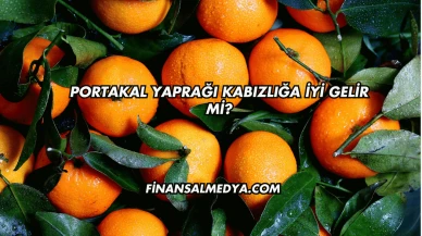 Portakal Yaprağı Kabızlığa İyi Gelir mi?