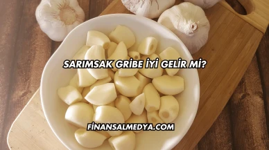 Sarımsak Gribe İyi Gelir mi?