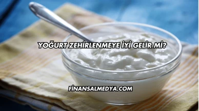 Yoğurt Zehirlenmeye İyi Gelir mi?