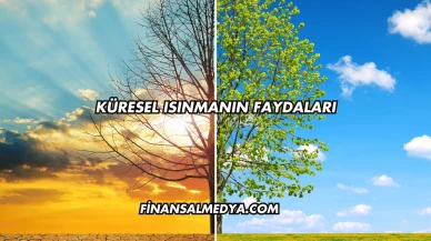 Küresel Isınmanın Faydaları