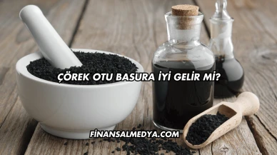 Çörek Otu Basura İyi Gelir mi?