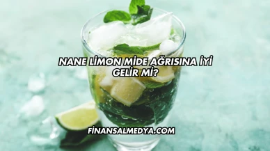 Nane Limon Mide Ağrısına İyi Gelir mi?