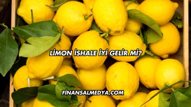 Limon İshale İyi Gelir mi?