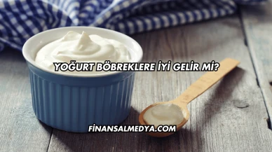 Yoğurt Böbreklere İyi Gelir mi?