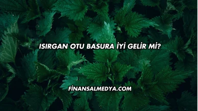 Isırgan Otu Basura İyi Gelir mi?