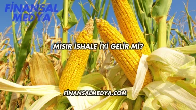 Mısır İshale İyi Gelir mi?