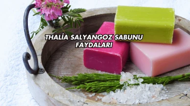 Thalia Salyangoz Sabunu Faydaları
