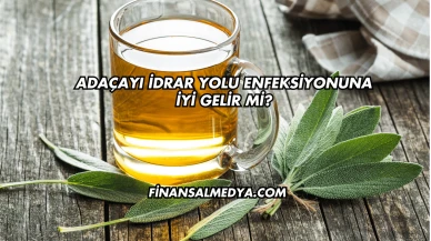 Adaçayı İdrar Yolu Enfeksiyonuna İyi Gelir mi?