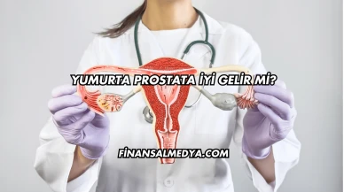 Yumurta Prostata İyi Gelir mi?