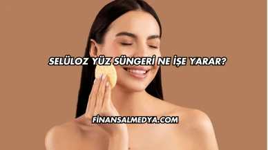 Selüloz Yüz Süngeri Ne İşe Yarar?