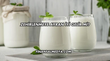 Zehirlenmeye Ayran İyi Gelir mi?