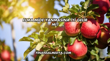 Elma Mide Yanmasına İyi Gelir mi?