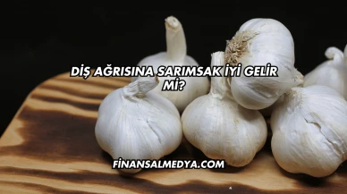Diş Ağrısına Sarımsak İyi Gelir mi?