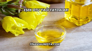 Eşek Otu Yağı Faydaları