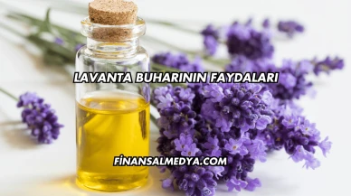Lavanta Buharının Faydaları