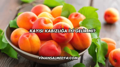 Kayısı Kabızlığa İyi Gelir mi?