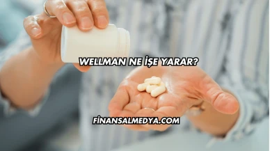 Wellman Ne İşe Yarar?