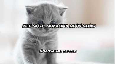 Kedi Gözü Akmasına Ne İyi Gelir?