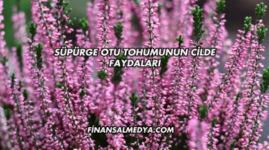Süpürge Otu Tohumunun Cilde Faydaları